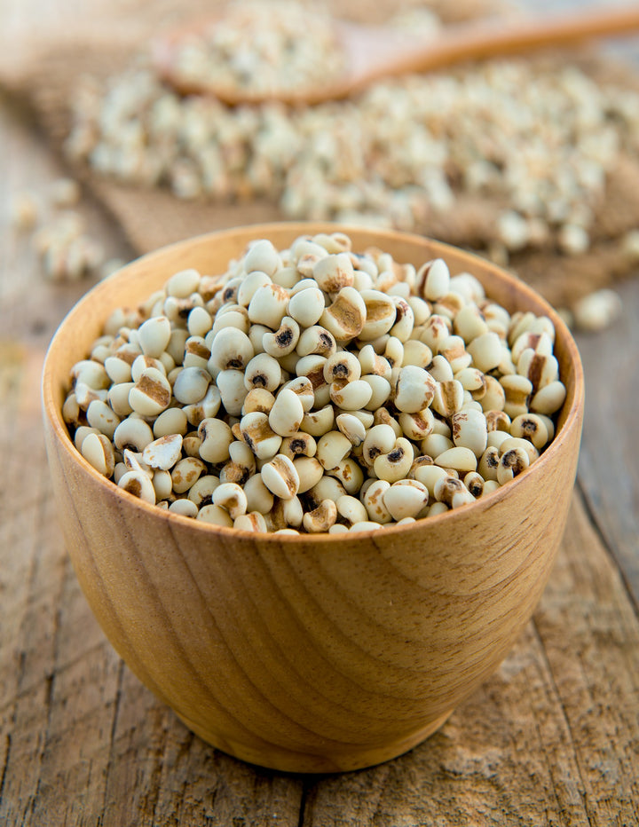 Jowar | Sorghum