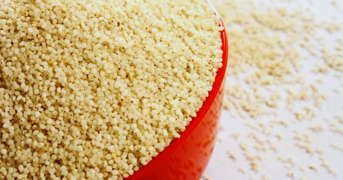 Barnyard Millet