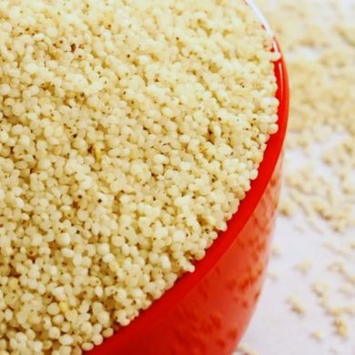 Barnyard Millet